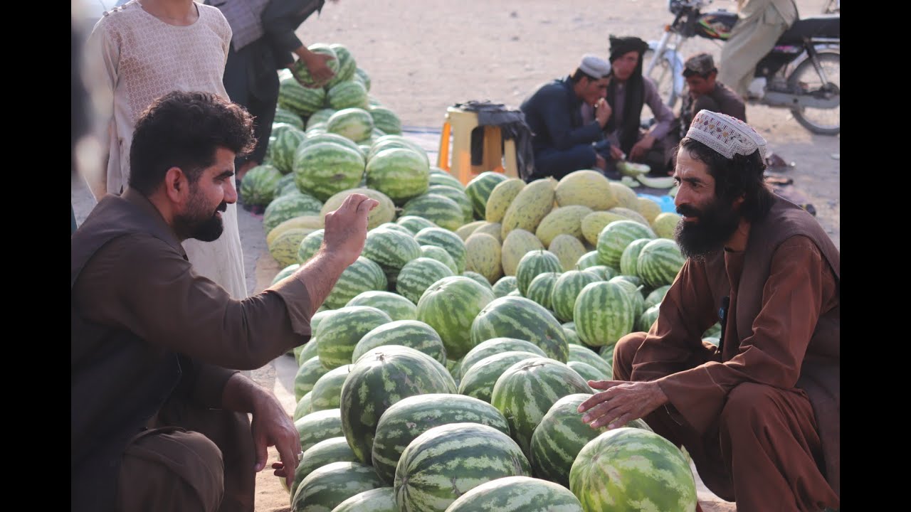Kandahar/ Friday Picnic people & swimming |کندهار/جمعه/میله /باغ پول