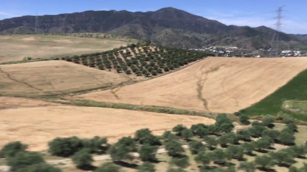EuroRail &mdash; Madrid to Malaga by Train