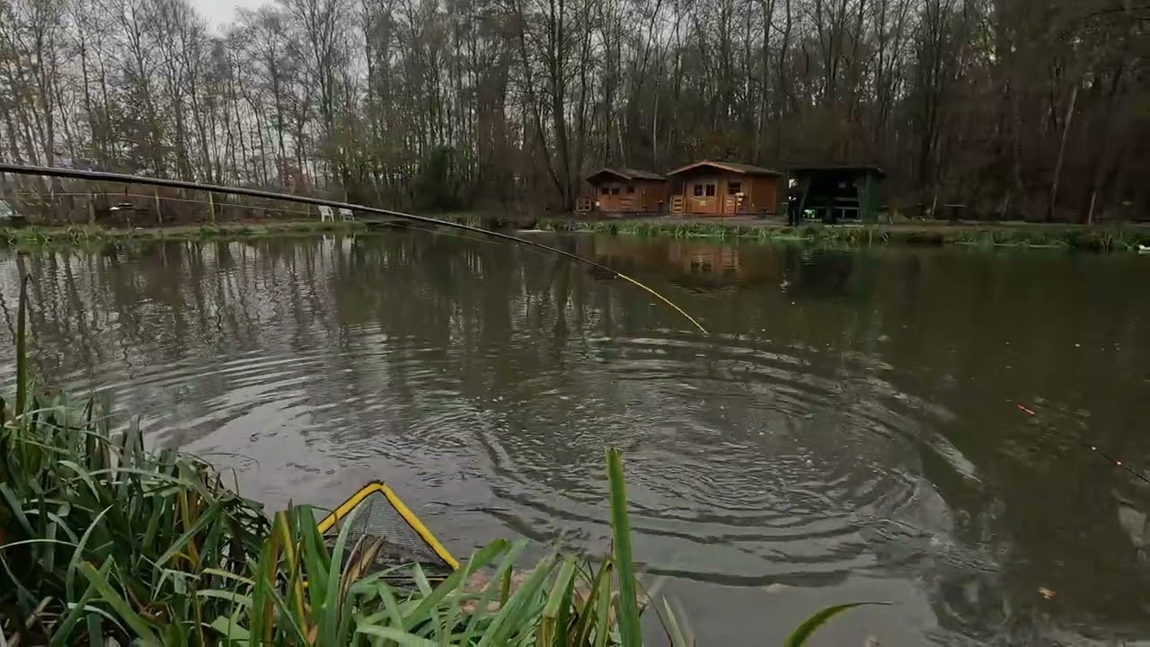 Can we still outsmart beautiful salmon trout? 🎣 | Tough fishing day & special fish