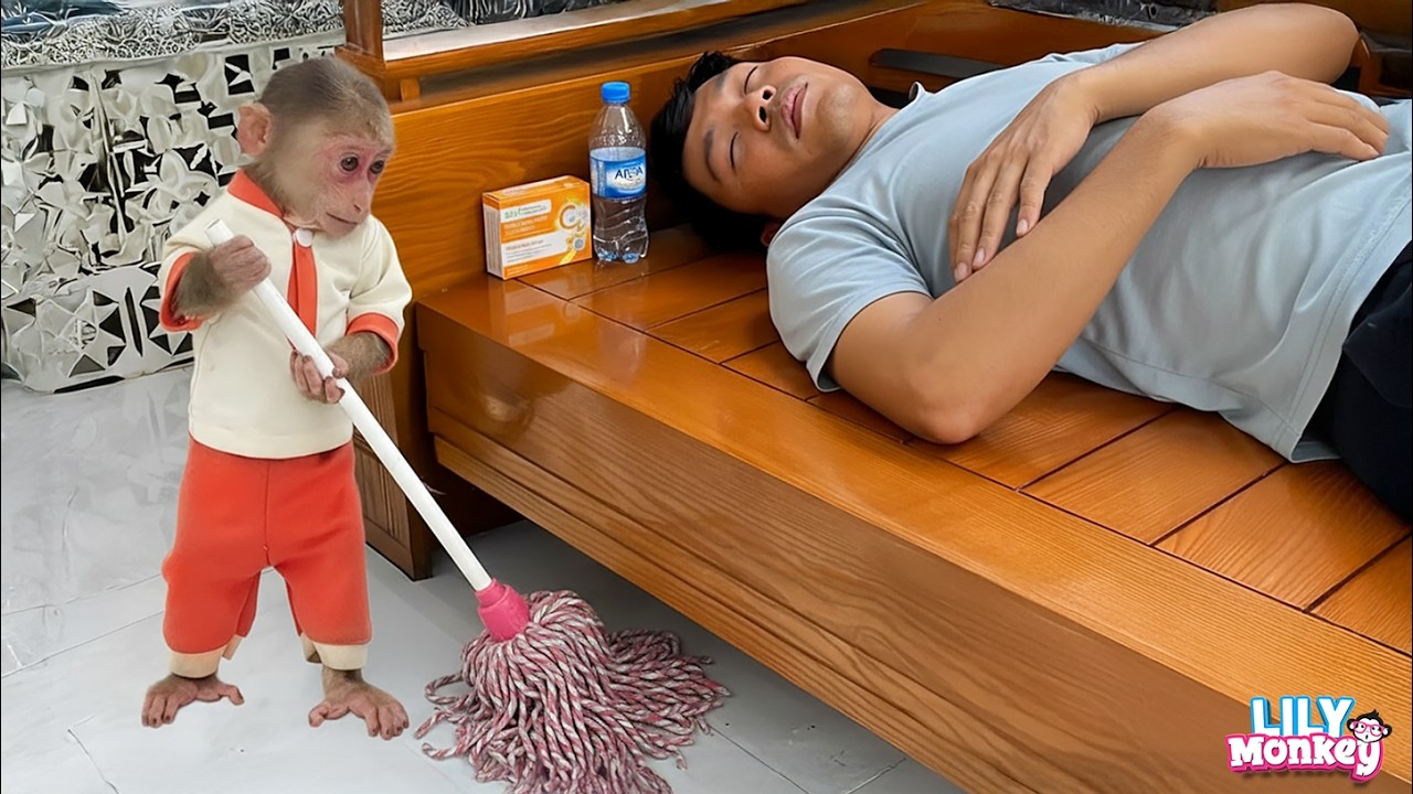 Smart Lily takes care of her sick dad and cleans the house | Lily's story