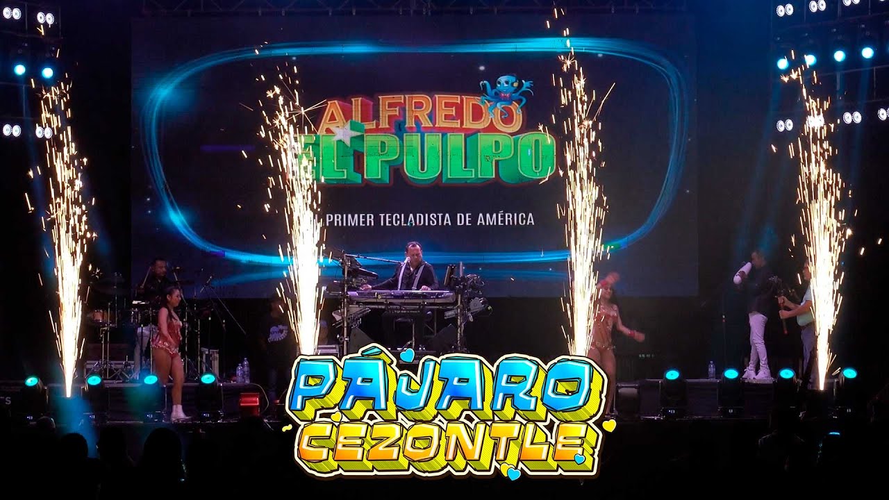 Alfredo 