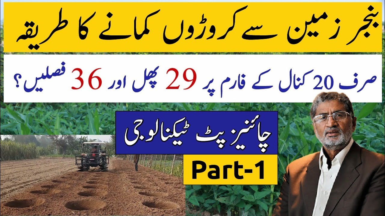 Transforming Barren Land into Sustainable Productive Land | Modern Smart Farm in Pakistan Part 1