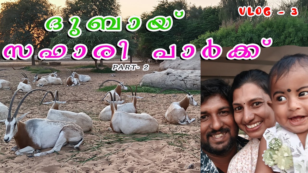 Dubai Safari Park | Part 2 | Asian Village & Arabian Desert Safari | UAE vlog 3 | #travelvlog #dubai