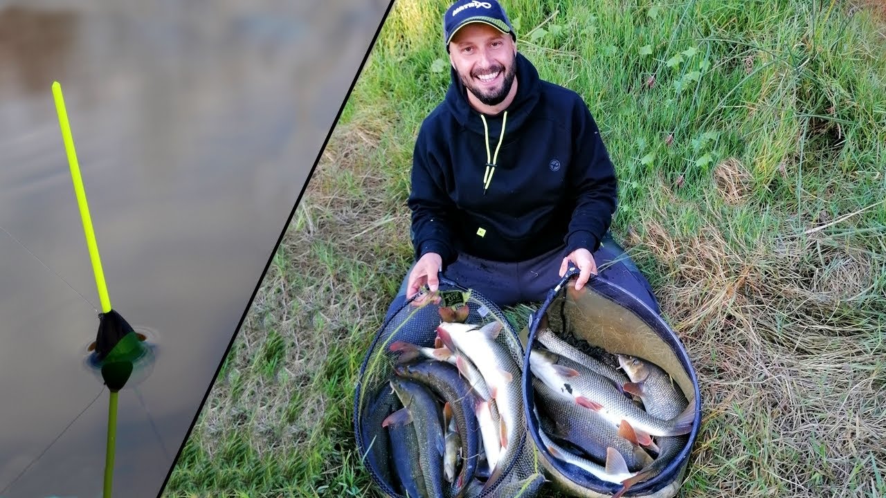 НЕНОРМАЛНИ МРЕНИ на БОЛОНЕЗА - МАКАРАТА хвърли ГРЕСТА / Barbel Fishing / Barbi a Bolognese