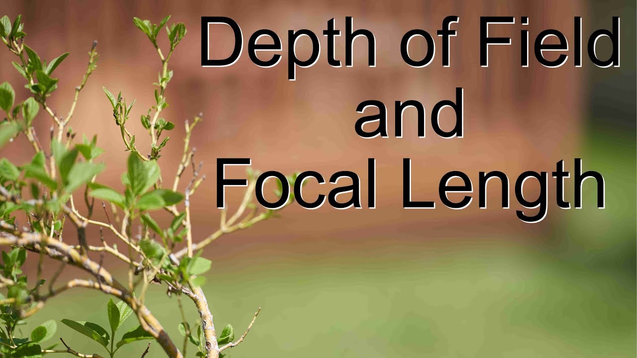 Focal Length and Depth of Field