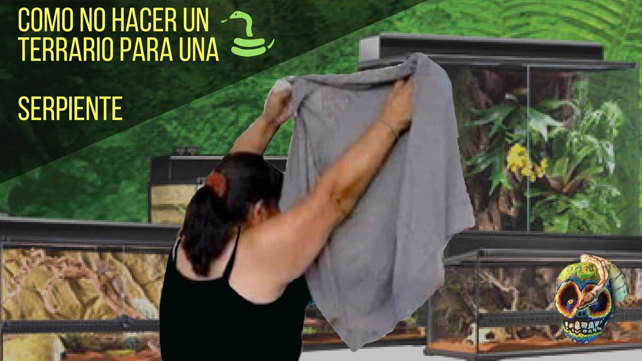 COMO HACER TU PROPIO TERRARIO. Errores del pre-terrario. Mordida de serpiente