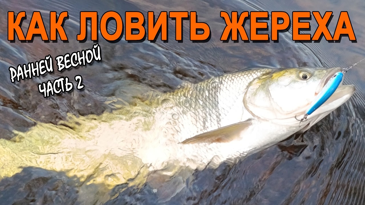 Как ловить Жереха ранней весной | часть 2