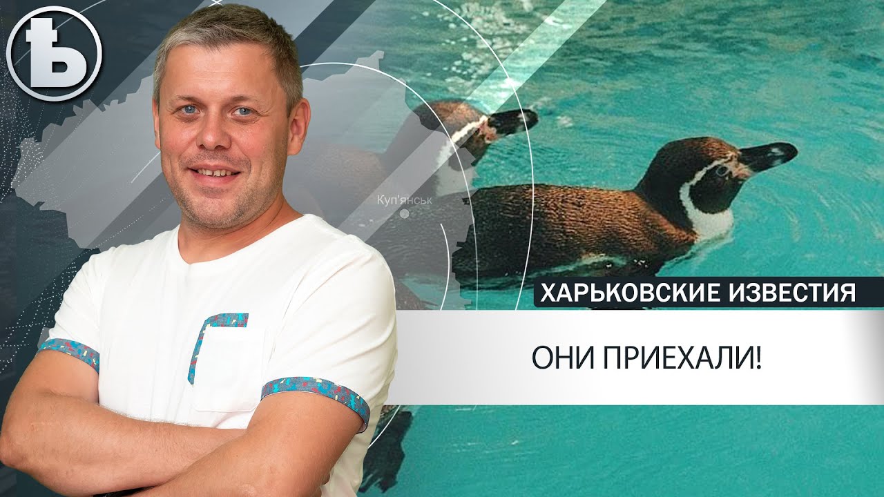 В Харьковском зоопарке появились пингвины