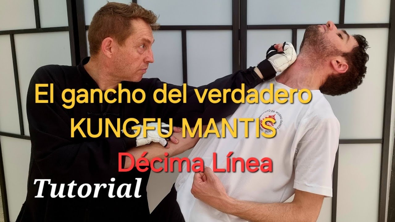 ESTOS  SON  LOS UPPERCUT DEL KUNGFU MANTIS TUTORIAL #tanglangquan #wushu #kungfu