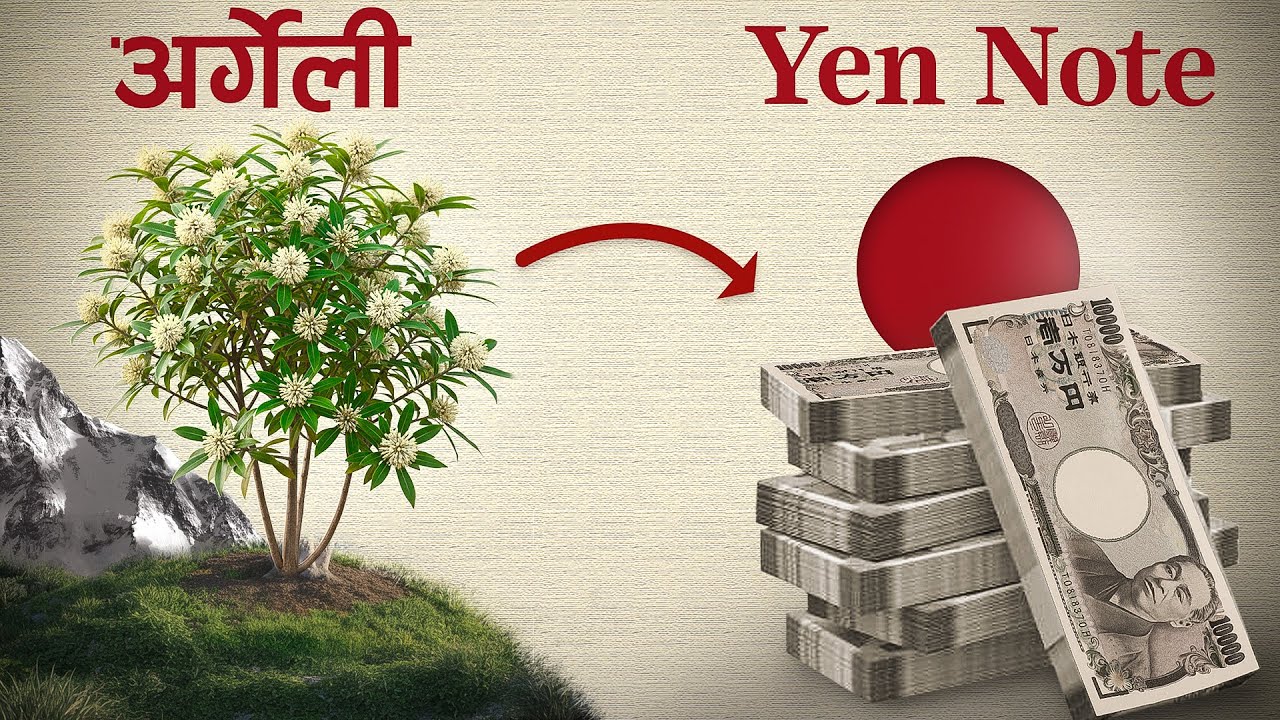 How Nepal solved Japan&rsquo;s Cash Crisis