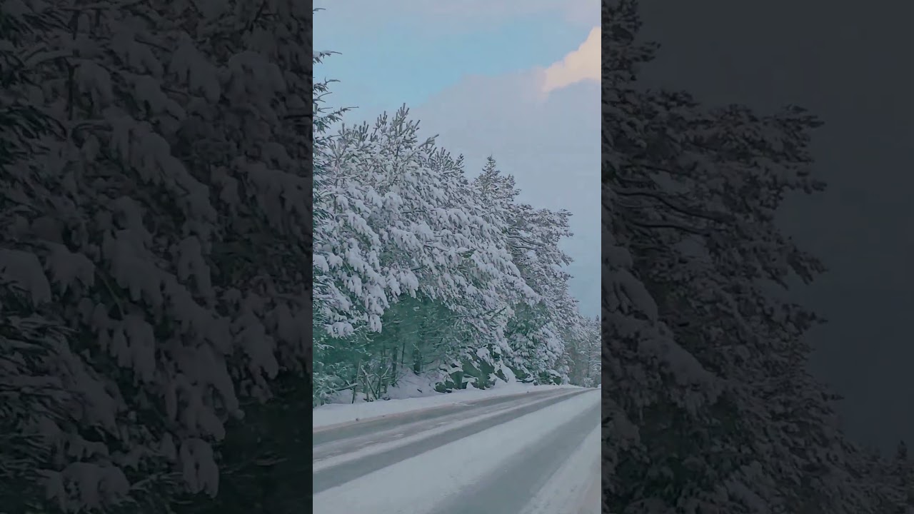 ☃️ 