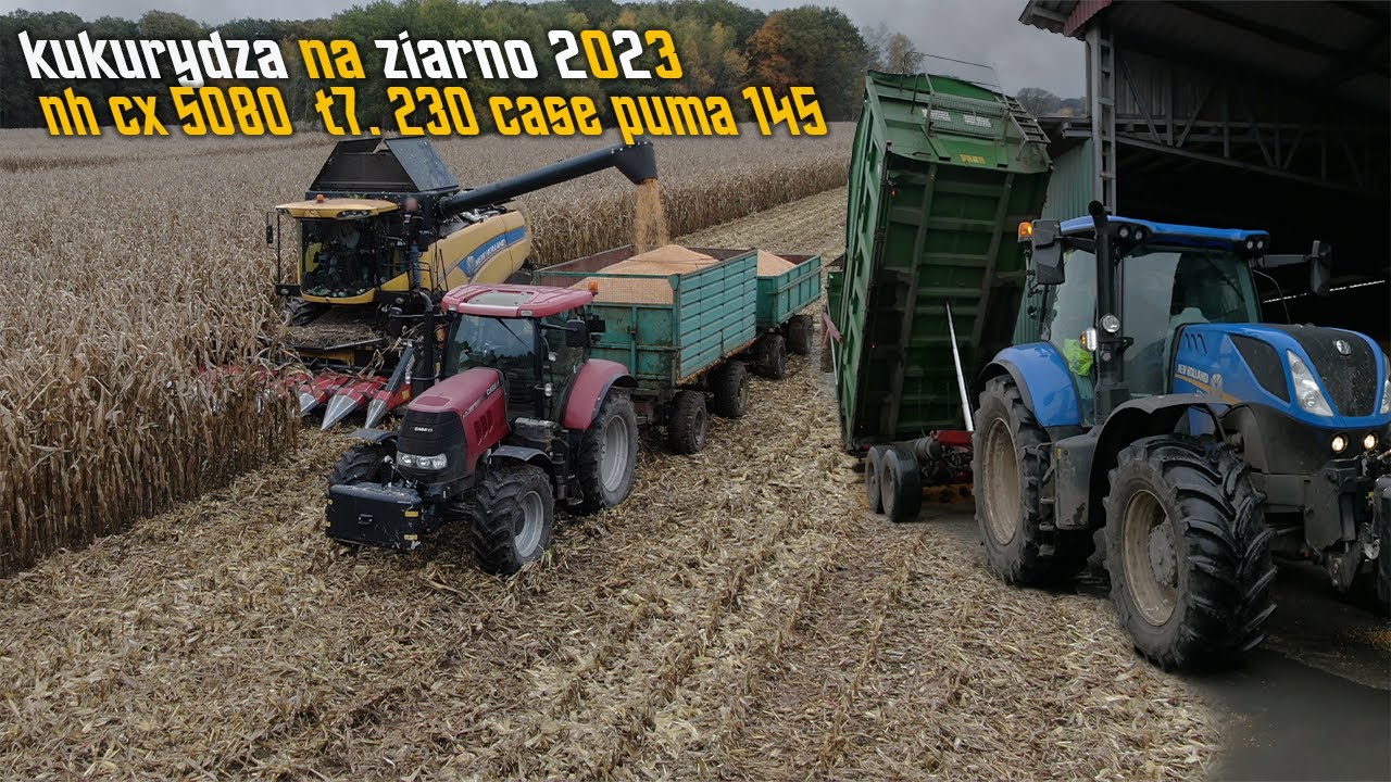 🇵🇱 ☆ Koszenie Kukurydzy Na Ziarno 2023 !  New Holland Cr 11.90 (cx5080)🇵🇱