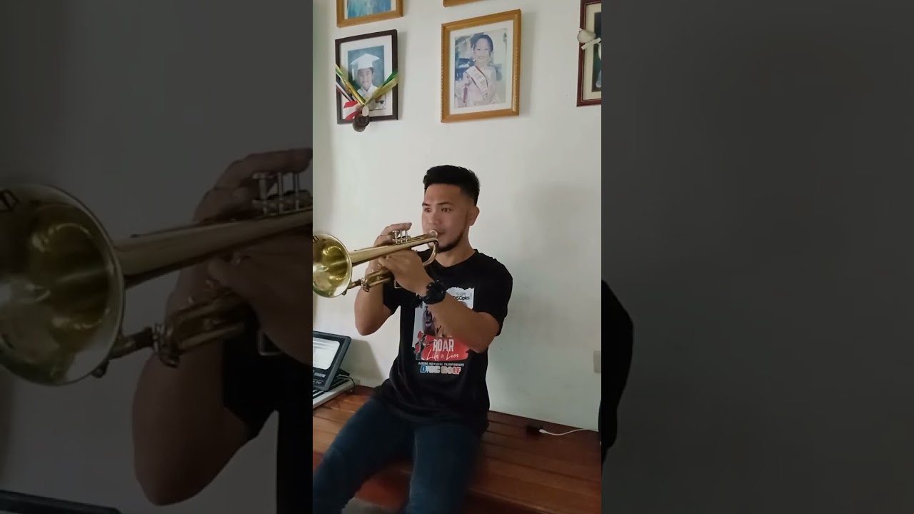 Holy Forever - Chris Tomlin || Trumpet Song Cover 🎺