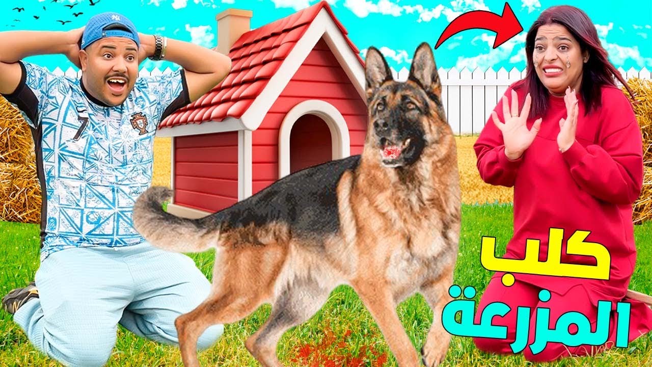 اخيرا