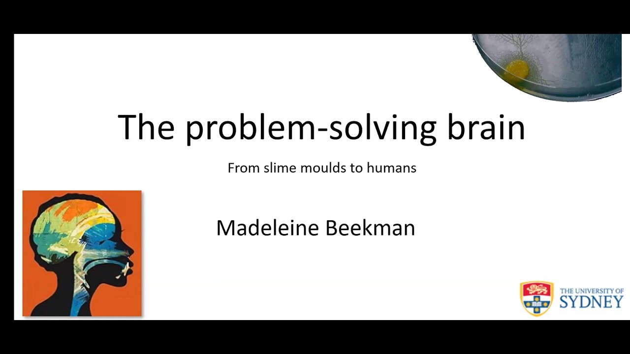 Madeleine Beekman - The problem-solving brain: From slime-moulds to humans