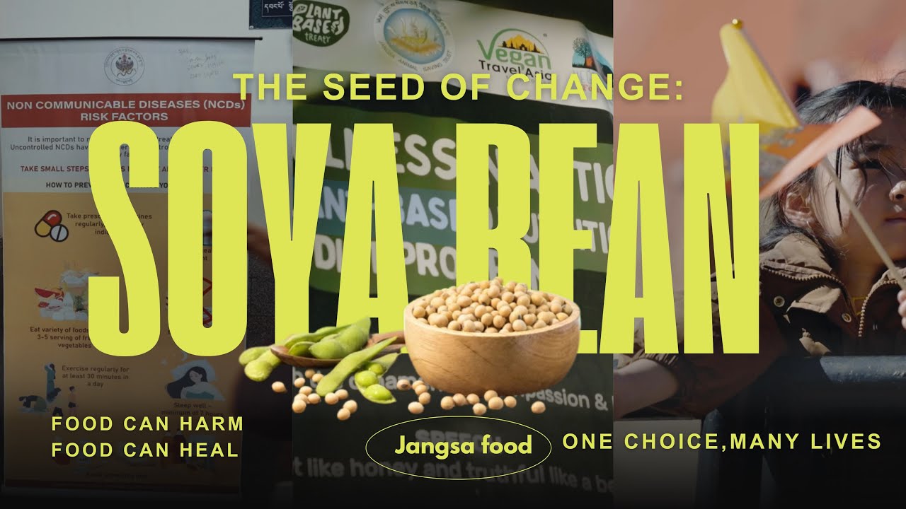 The seed of change, Soya Bean