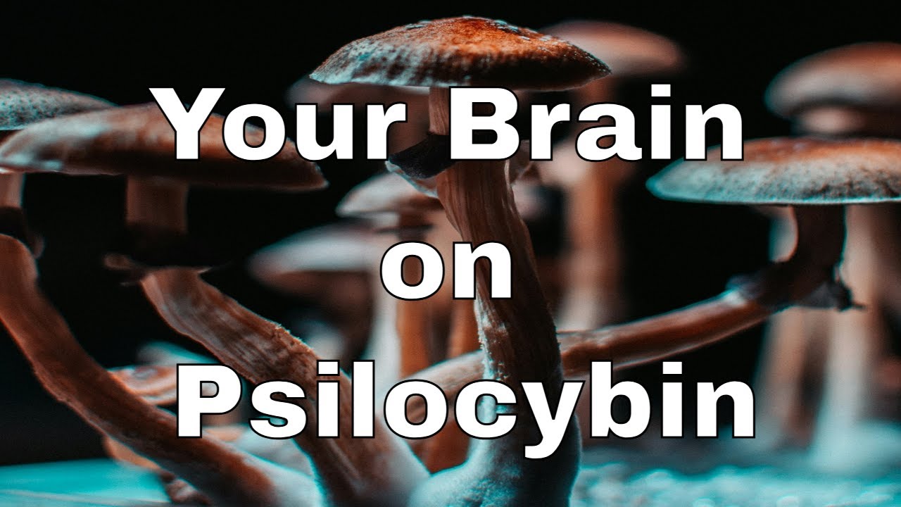 Jak 25 mg psylocybiny wpływa na zdrowie czterdziestolatk&oacute;w?