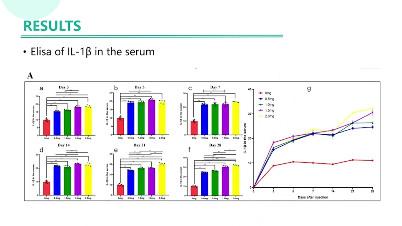 Mono-iodoacetate in knee osteoarthritis &ndash; Video abstract [527135]