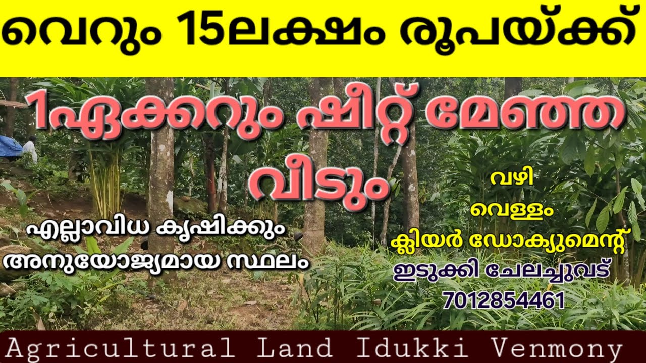 15ലക്ഷം രൂപയ്ക്ക്. 1ഏക്കറും ചെറിയ വീടും.കൃഷിക്കും. കോട്ടേജ് ചെയ്യാനും അനുയോജ്യം. ഇടുക്കി ചേലച്ചുവട് 