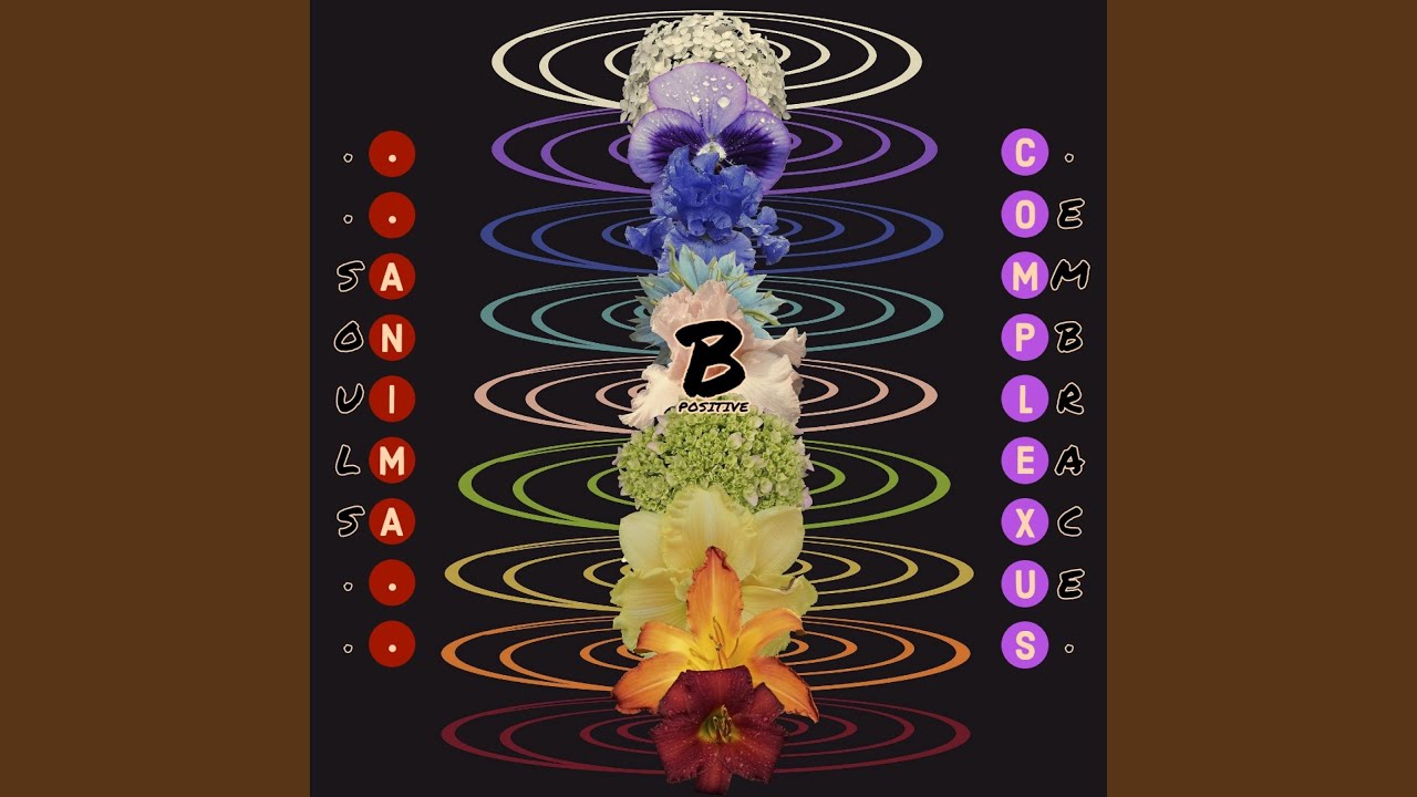 47 Chakras (feat. Aura Da Prophet)