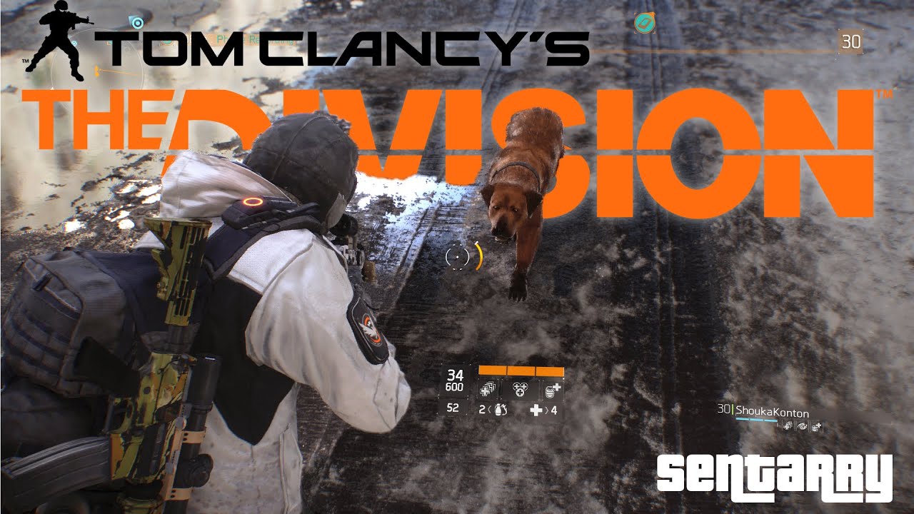The Division Funny Moments #2 (How Do You Test Your Weapons?)
