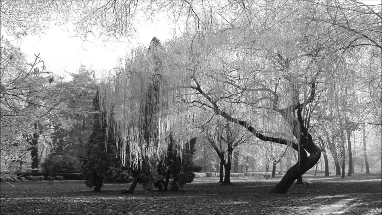 Acrimonia - The Walker Part I (Introus)