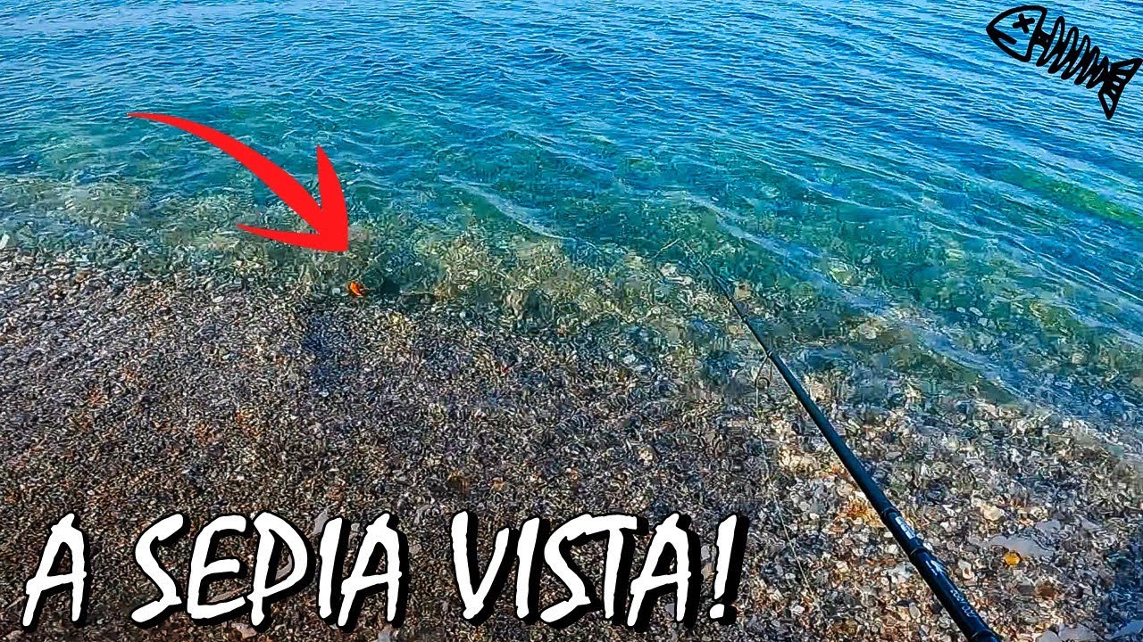 ¿𝗠𝗔𝗗𝗥𝗨𝗚𝗔𝗥 para 𝗣𝗘𝗦𝗖𝗔𝗥 𝗦𝗘𝗣𝗜𝗔𝗦? / 𝙀𝙂𝙄𝙉𝙂 desde 𝗣𝗟𝗔𝗬𝗔🏖️
