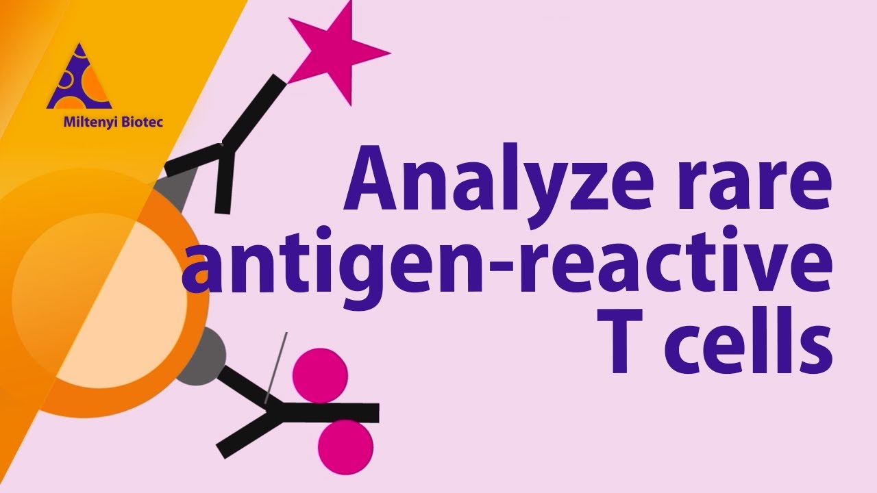 Analyzing rare antigen-reactive T cells with confidence