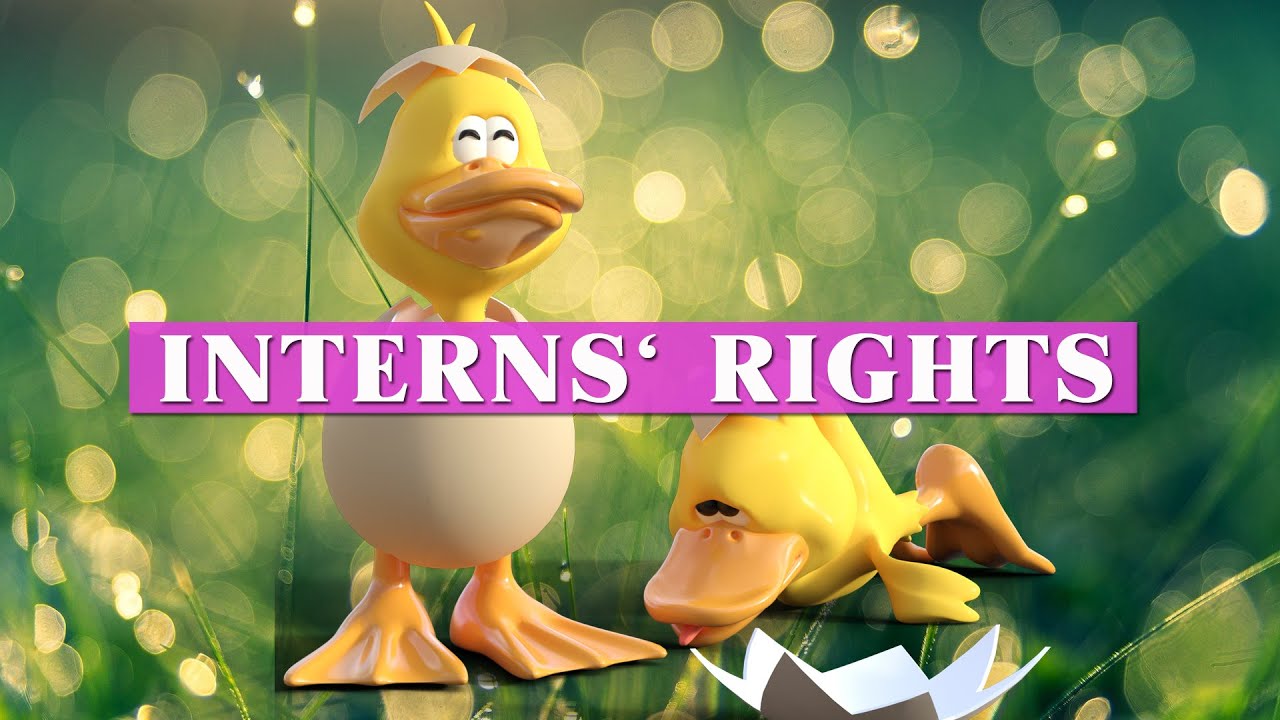 Interns' rights | Bitesized Employment Law Videos by Matt Gingell