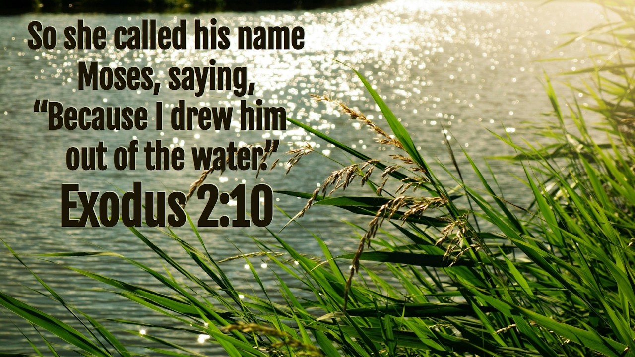 Sunday Service - February 22, 2026