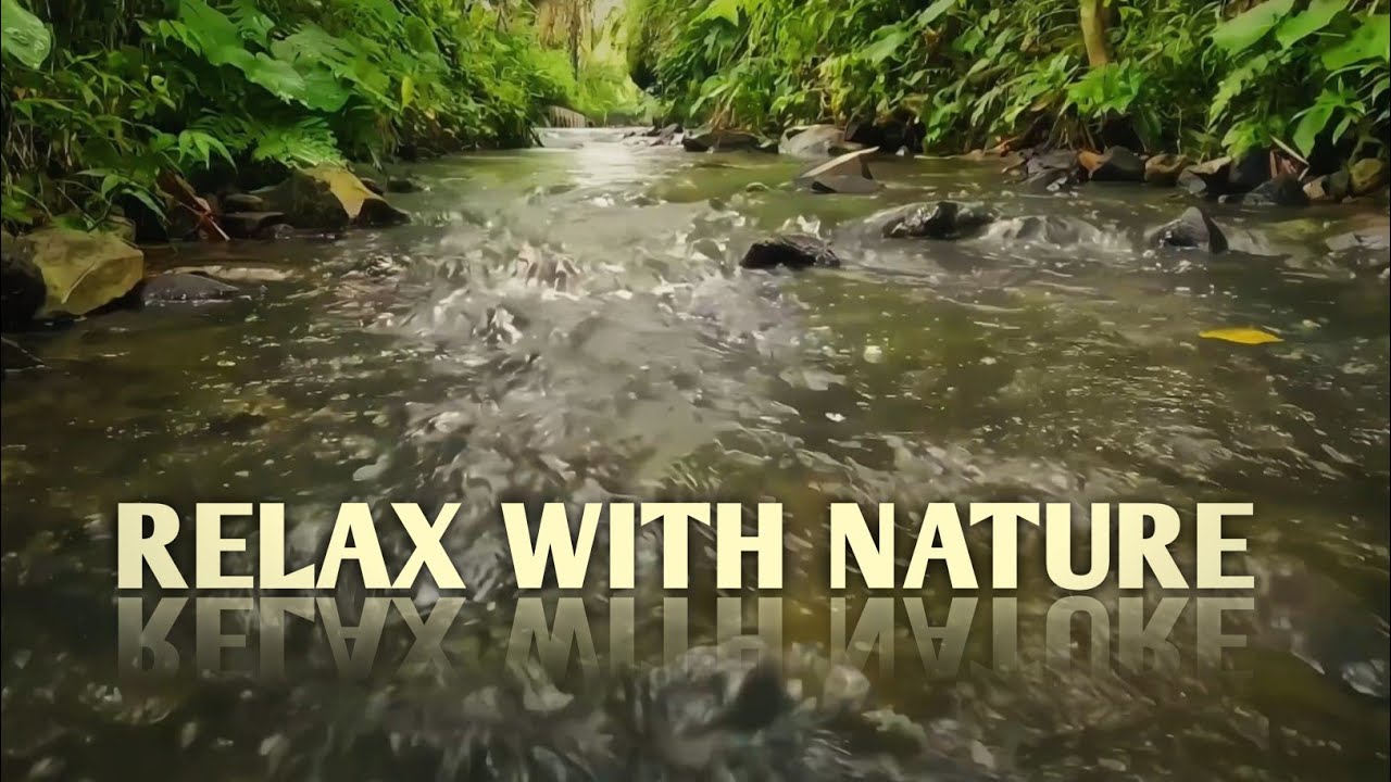 Natural River Stream Sounds in Forest 🌿 Relaxing Water Flow for Deep Sleep & Stress Relief