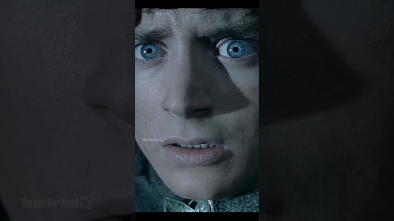 Faramir Afraid To Use The Sword On LOTR