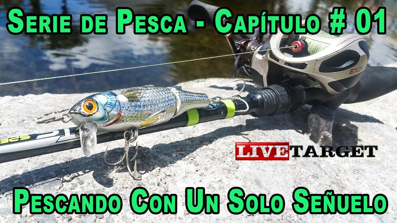 Pescando con un solo señuelo - Capitulo # 01 Señuelo Marca Livetarget - USA - 📽 # 56
