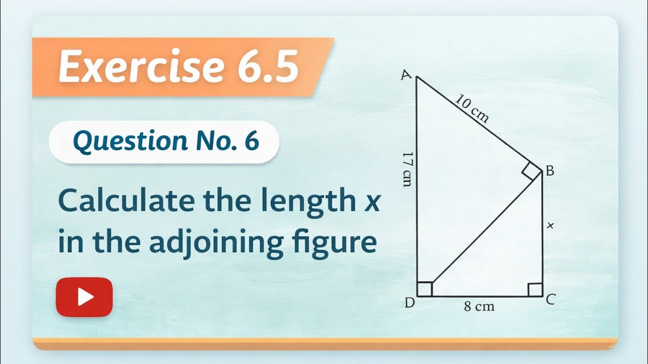 Exercise 6.5 | Q6 | Calculate the Length x | Class 9 Math | Geometry | 