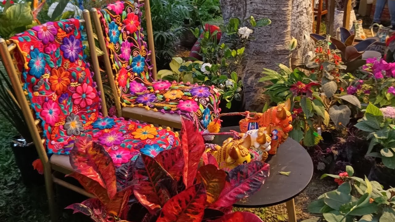 Mega feria de plantas, fue todo un éxito - Perúflora 2023 🥰🥳🌵🌱 - Lima - Perú