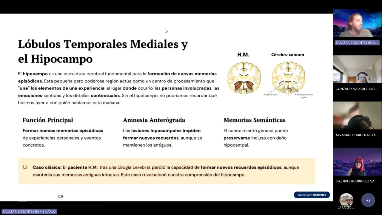 Memoria y Aprendizaje semana 4