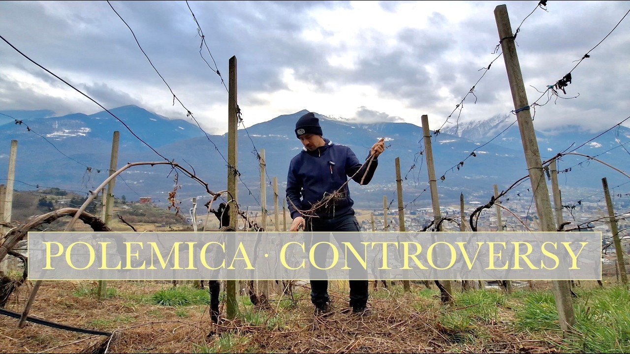 EP48- Viticoltura al contrario | Backwards viticulture