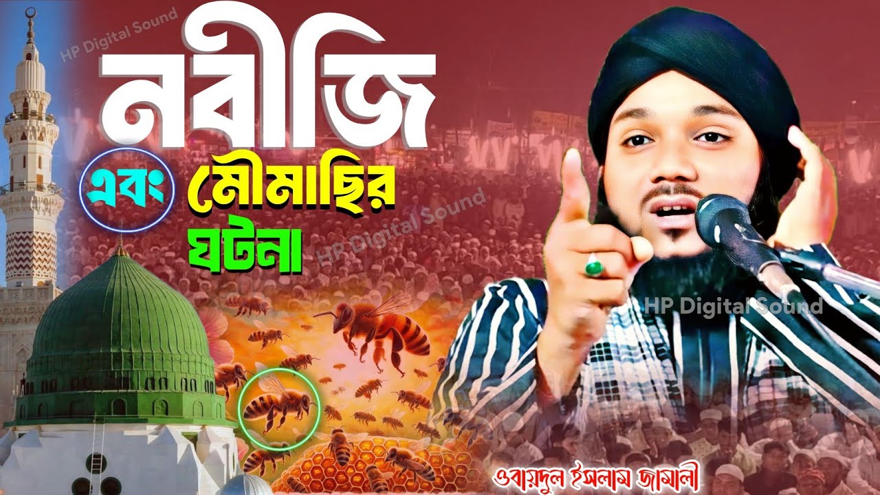 নবীজি এবং মৌমাছির ঘটনা┇obaidul islam waz┇ওবায়দুল ইসলাম এর ওয়াজ┇obadullah jalsa