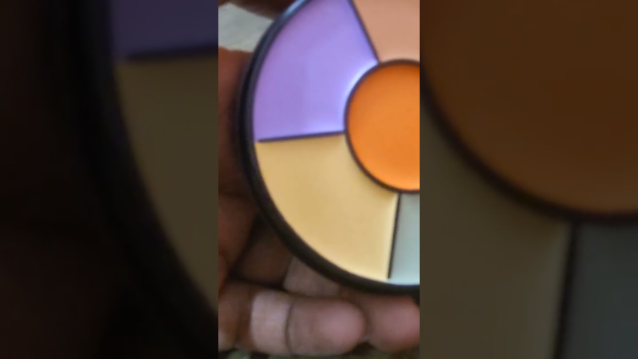 #insightproconcealerpalette