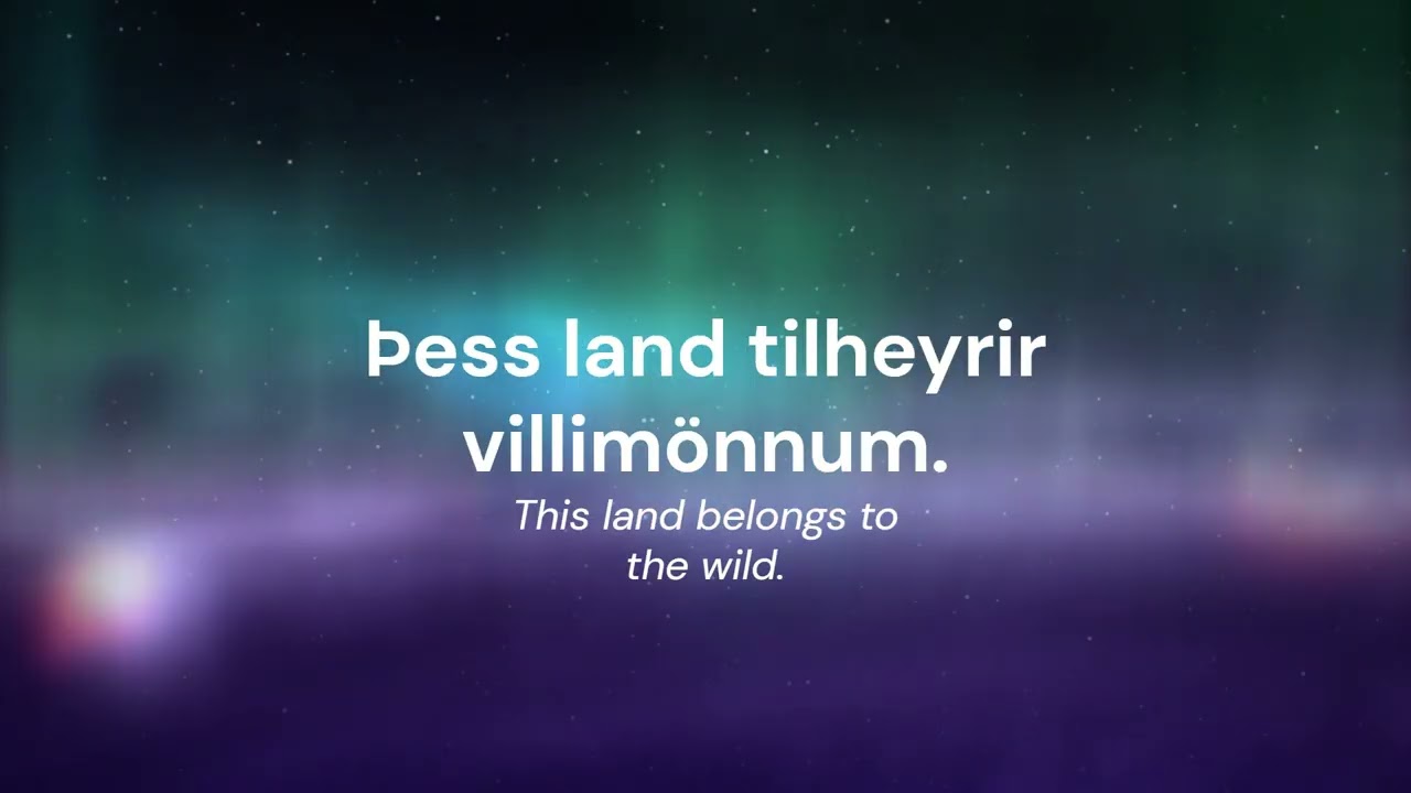 VOLIBEAR SONG: Blood of the Wild