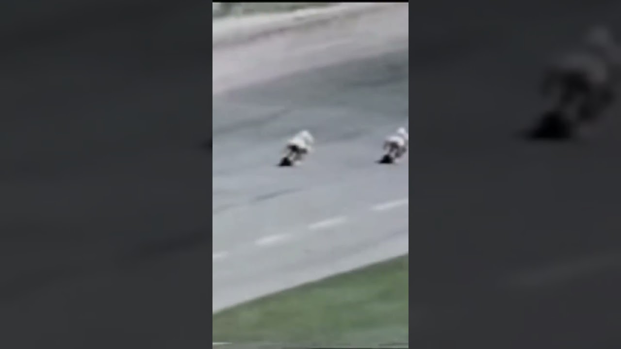 Daytona International Speedway 1976 Daytona 200 Kenny Roberts