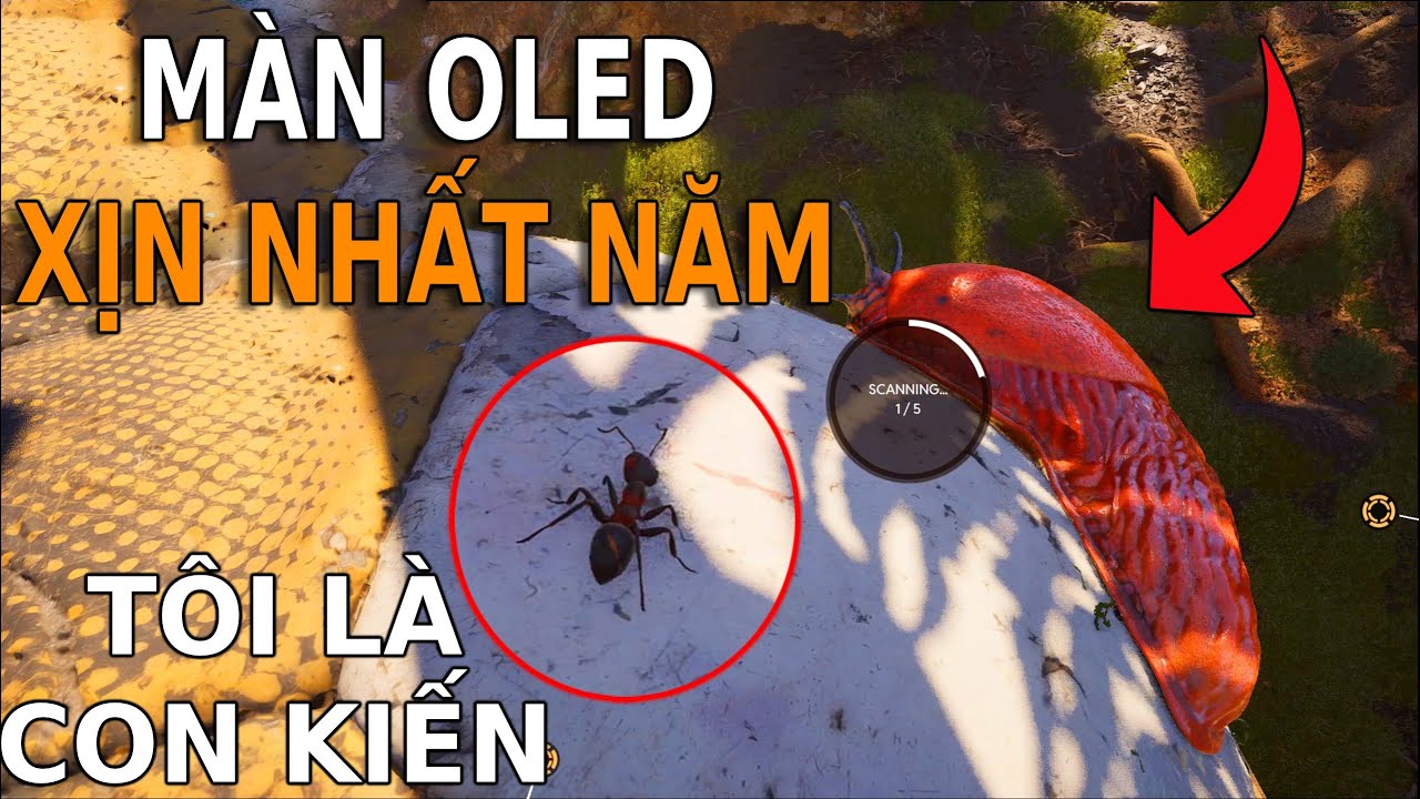 MÌNH LÀ CON KIẾN và Đây là CHIẾC MÀN OLED XỊN NHẤT NĂM  | GNDTT