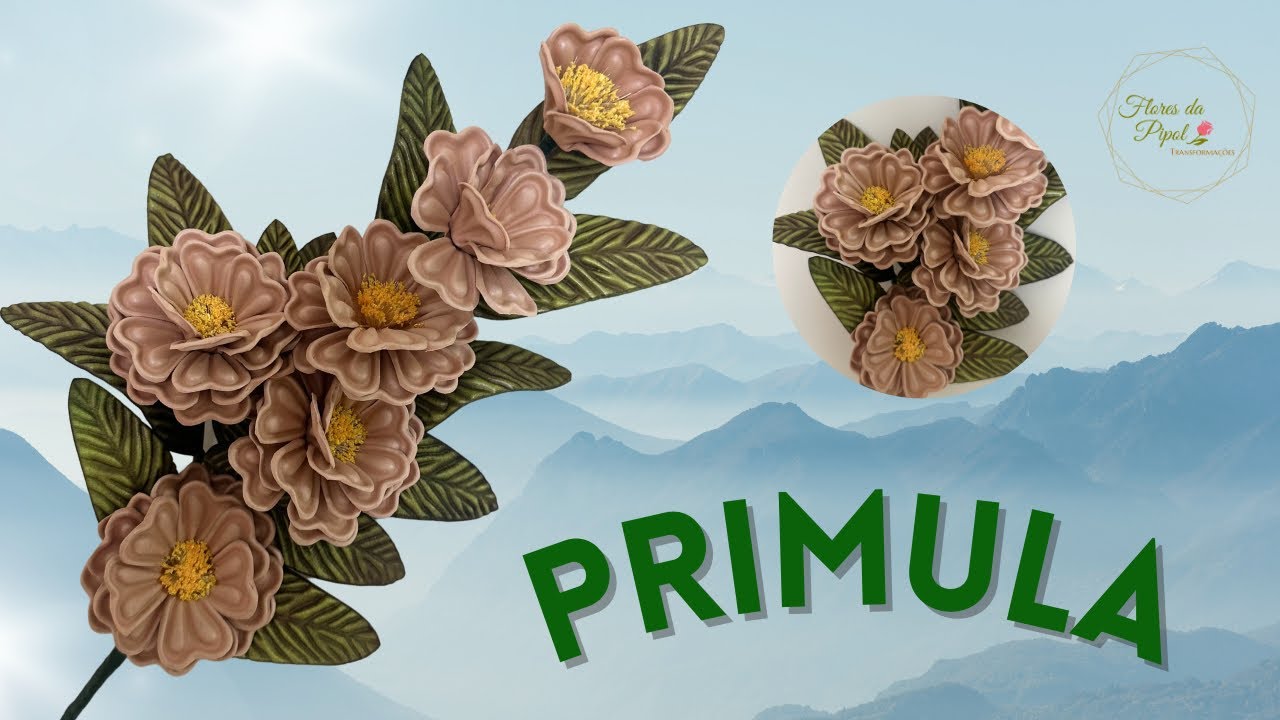 PRIMULA - FLORES DA PIPOL