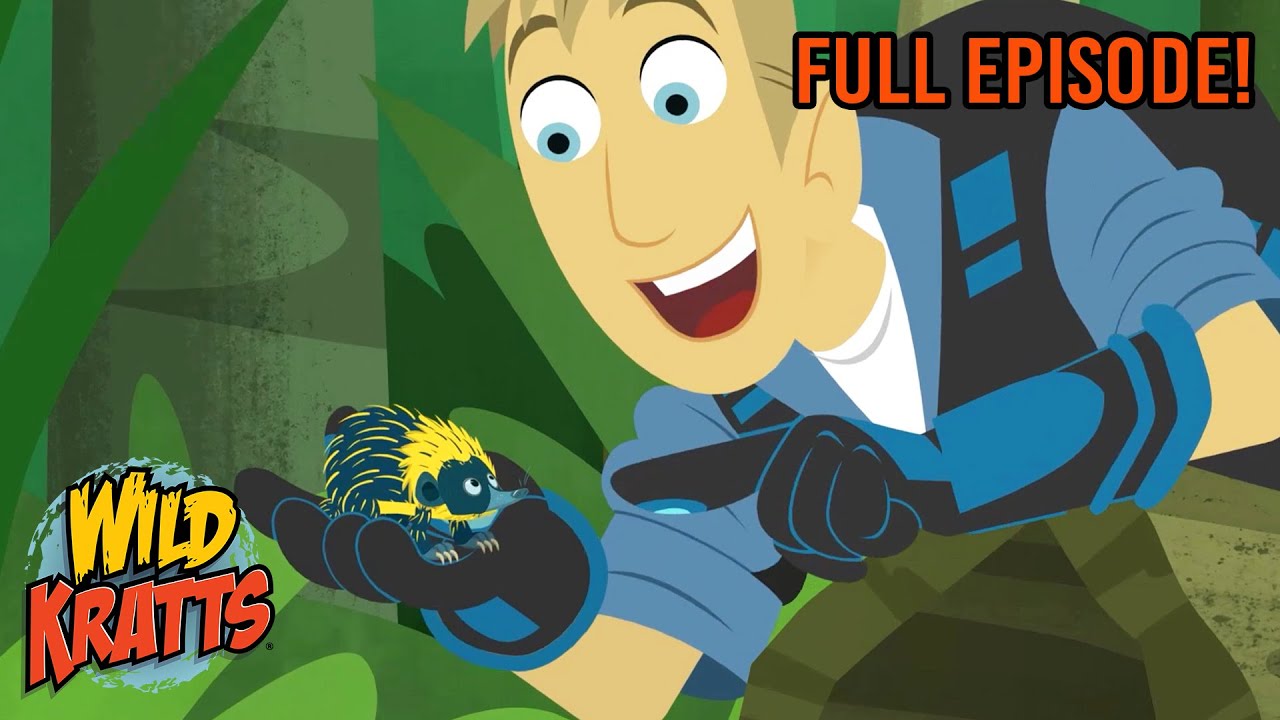 Tenrec Treasure Hunt | Season 3 | Full Episode | Animals for Kids | Wild Kratts