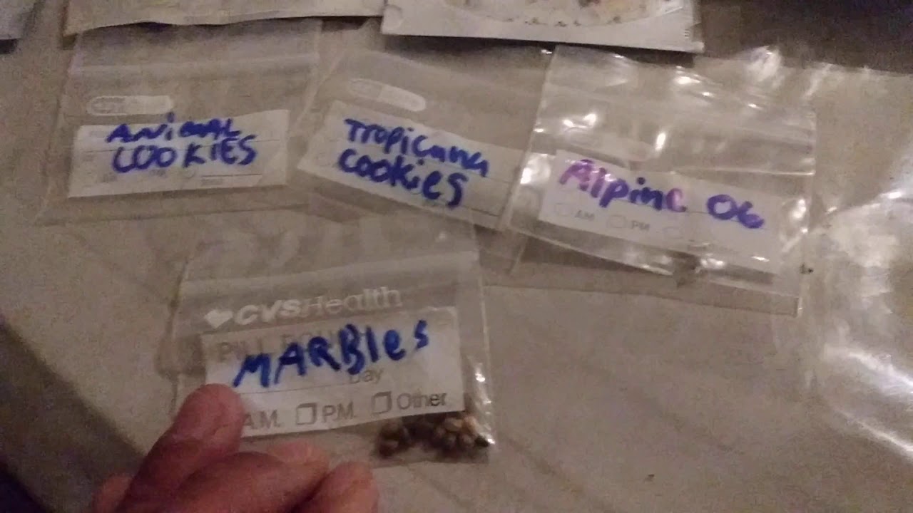 HOW TO STORE YOUR MEDICAL MARIJUANA SEEDS