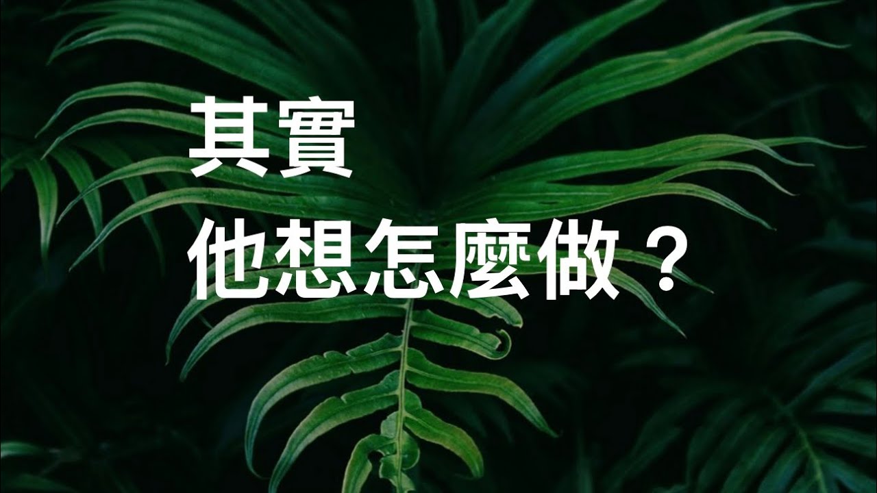 塔羅占卜🔮其實 他想怎麼做？