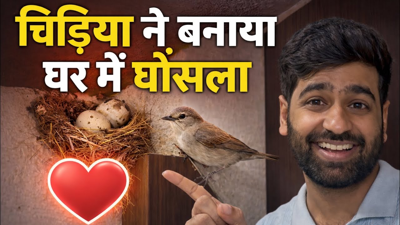 Chidiya ne banaya ghar mein ghosla 💝🐥🐣❤️