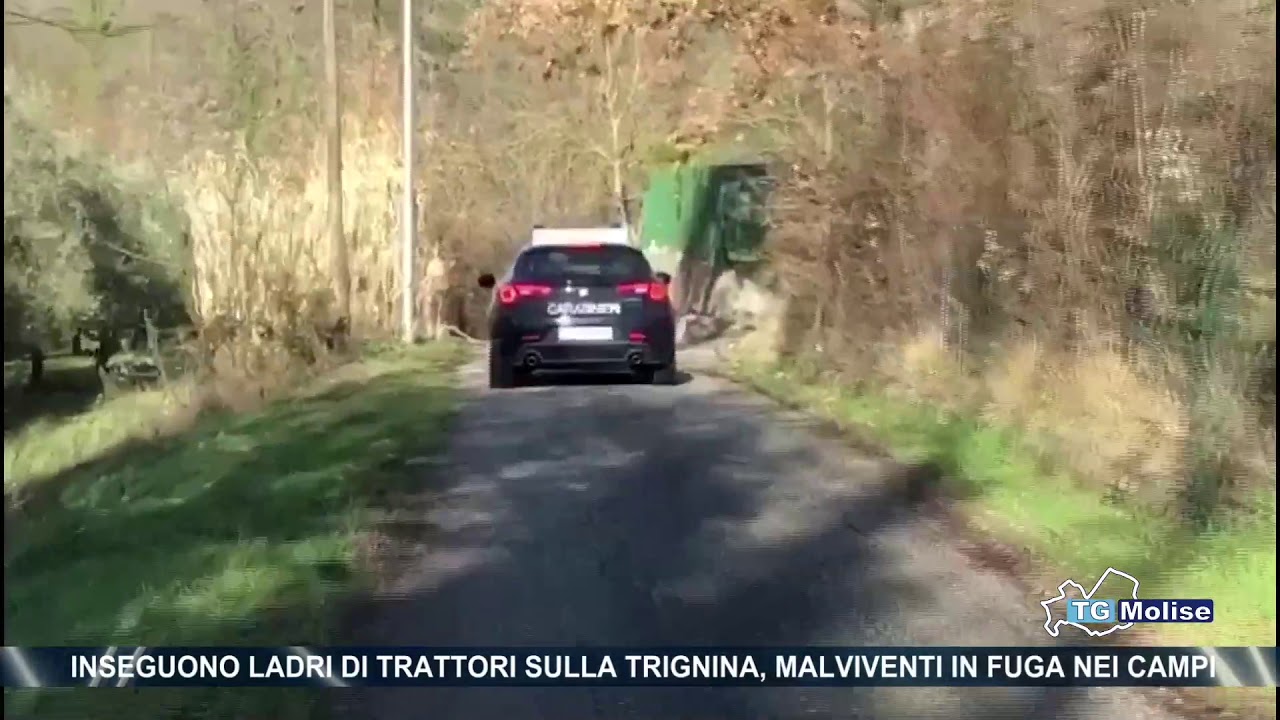 Inseguono ladri di trattori sulla Trignina, malviventi in fuga nei campi