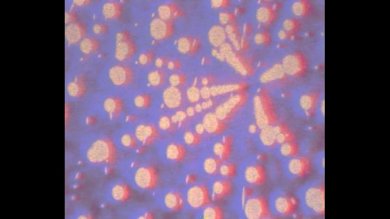 [FREE] Melodic type beat "Solid" | Chill type beat | Wavy type beat