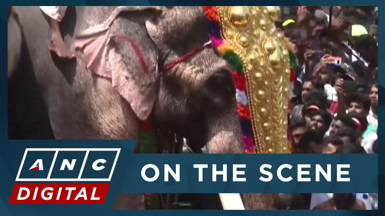 LOOK: Big crowds and elephant parade as South Indian city celebrates Hindu Festival | ANC